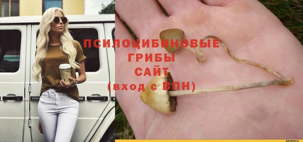 хмурый Алексин
