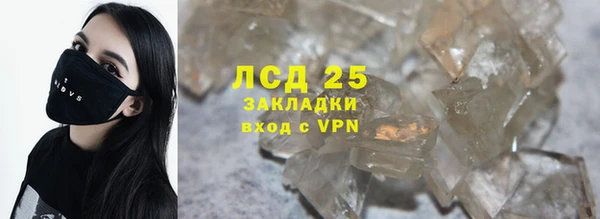 хмурый Алексин