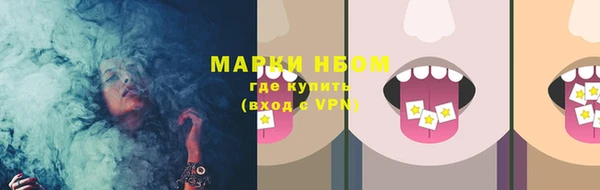 хмурый Алексин
