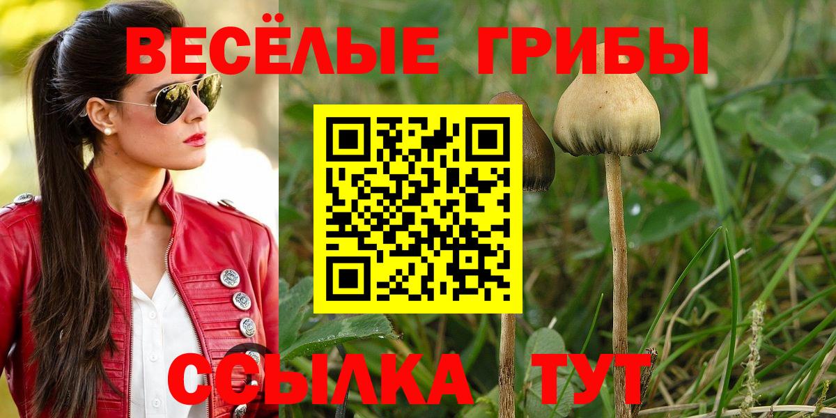 Сургут  Псилоцибиновые грибы Psilocybe  Вход с VPN 