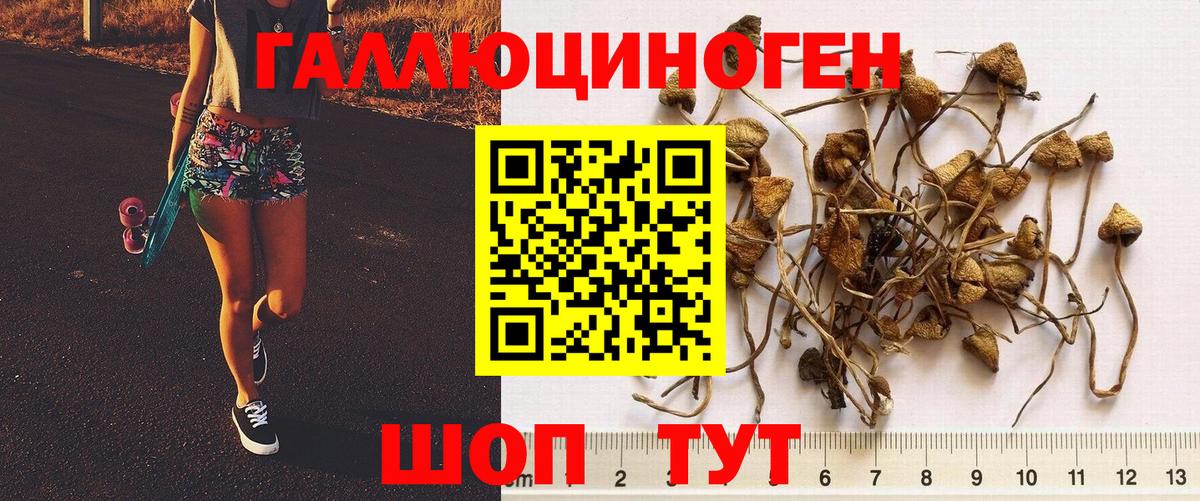 Галлюциногенные грибы мицелий Сургут