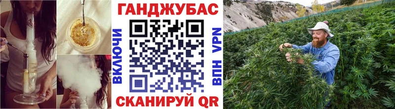 Канабис тримм  это как зайти  Сургут 